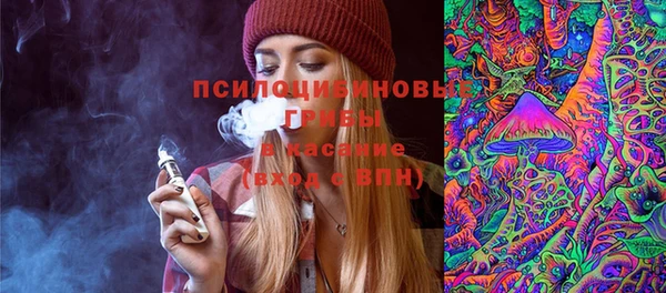 МДПВ Белокуриха