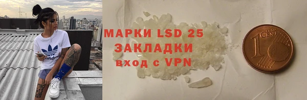 шишки Балахна