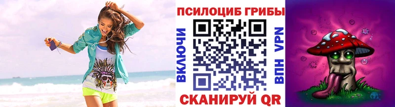 Галлюциногенные грибы Psilocybe продажа наркотиков Верхняя Тура
