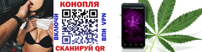 Конопля OG Kush Верхняя Тура